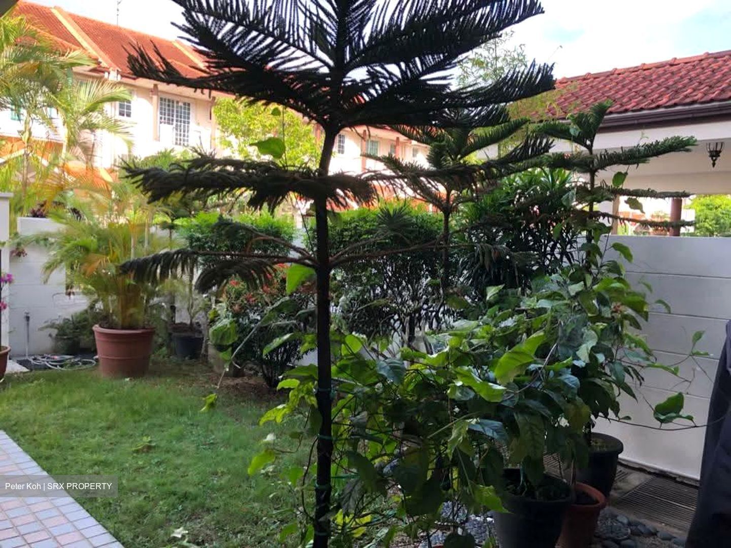 The Countryside (D26), Terrace #544375251